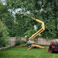 Lawn Grading and Leveling in Deland Southwest, FL